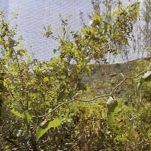 Casa El Dragonet Сasa de vacaciones